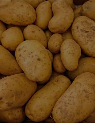 The potato as an ethical food choice