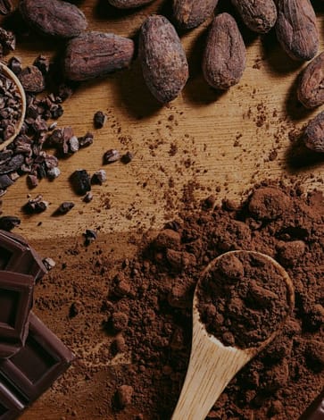 Will the future of chocolate be cocoa-free?