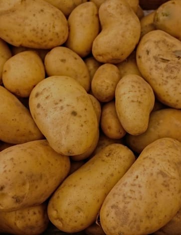 The power of a silent (potato) gene